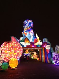 Willkommen im Jahr des Hundes