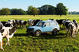 Tschick &copy; © Reiner BAJO Tschick