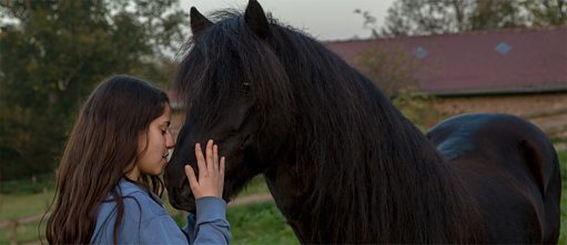 Ein Mädchen und sein Pferd