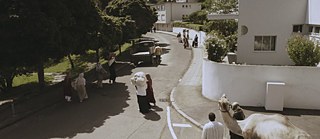 White City &copy; © Dani Gal, image: Itay Marom White City