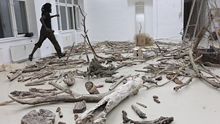 Installation „Sound grown batch #5 blue oysters at studio Efforbi II”.