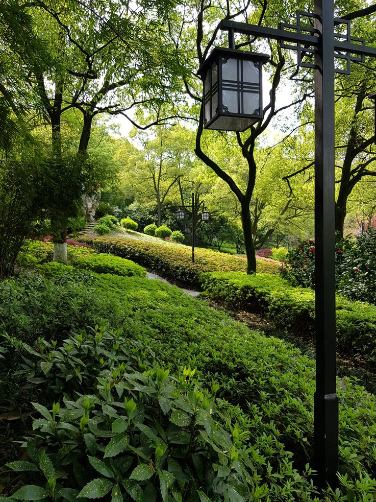Garten im Shifeng Park