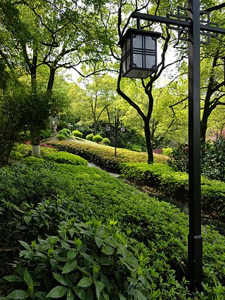 Garten im Shifeng Park