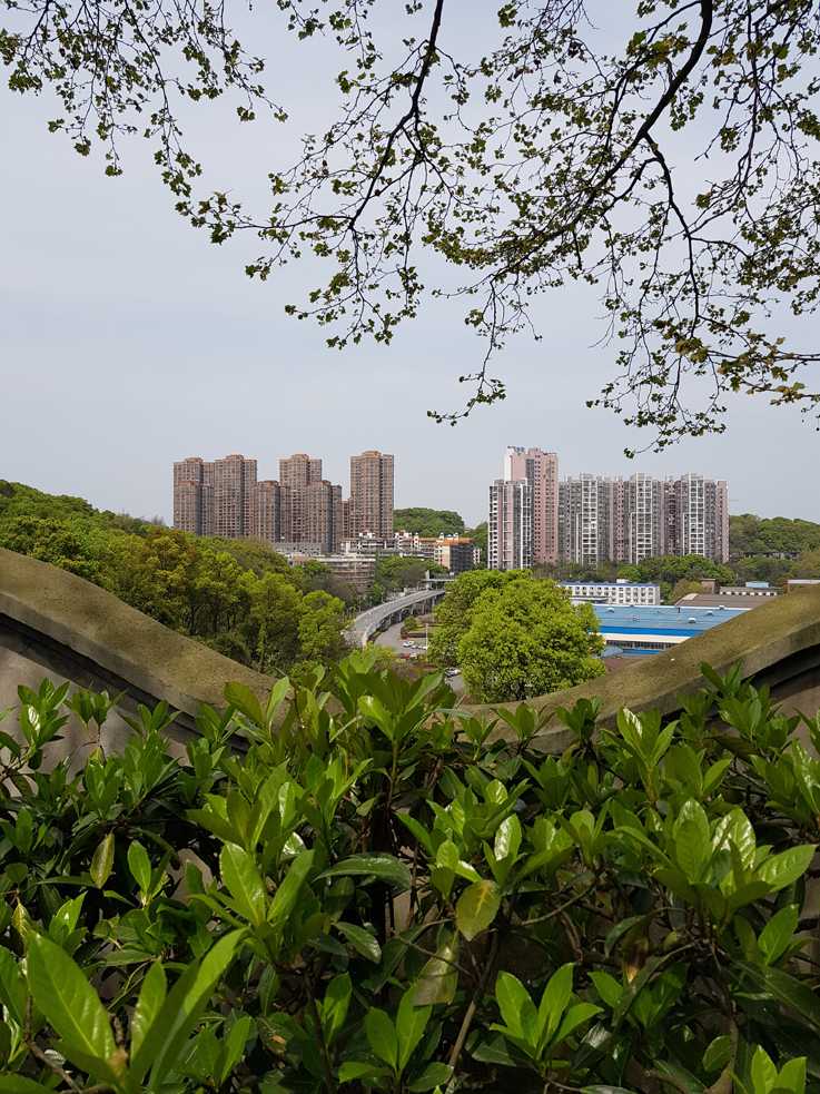 Shifeng Park