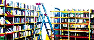 Échelles parmi des rayonnages de bibliothèque (en couleurs psychédéliques) &copy; © Goethe-Institut Travaux bibliothèque