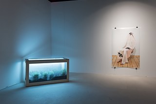 Alex Heilbron, Detoxification Garden / Looping