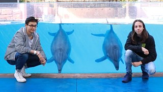 Die Schauspieler bei der Delfinshow