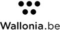 Logo Wallonie - Madrid