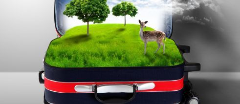 DaF a la Carte - Thematische Wanderkoffer