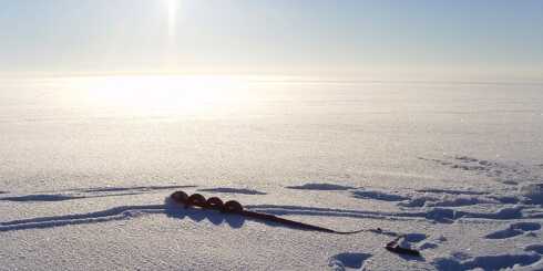 The artist Eleonore de Montesquiou works at the border between Estonia and Russia.