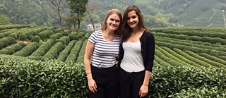 Longjing – Teelandschaft