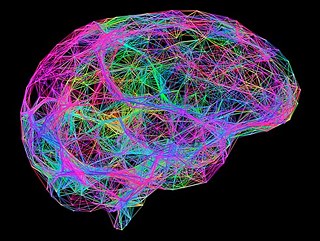 Programas de tradução neural constroem um cérebro tradutor artificial