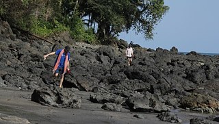 Peter Rühle and Robert Lippok.