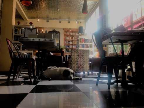 Faulenzen im Café