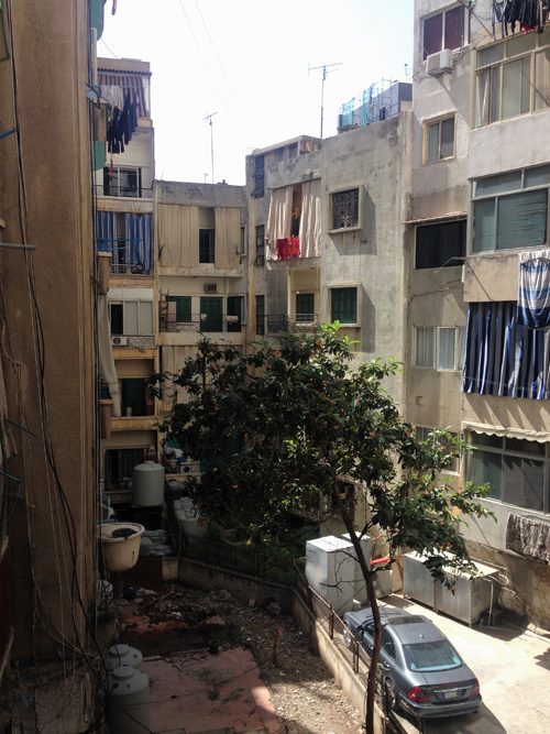 Der schon beschriebene Katzenhof