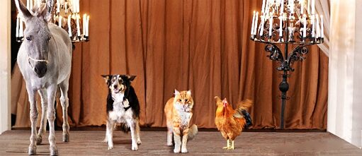 Die Bremer Stadtmusikanten