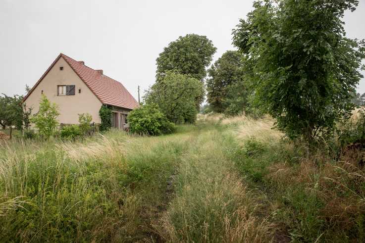 Die Schlossallee im brandenburgischen Vierlinden verdient den Namen nur bedingt. Zwar führt der zugewucherte Pfad nach sechs Kilometern zum Schloss Neuhardenberg. Doch eine Mutprobe wartet: Die Allee kreuzt einen Truppenübungsplatz.