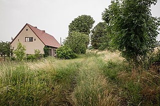 Die Schlossallee im brandenburgischen Vierlinden verdient den Namen nur bedingt. Zwar führt der zugewucherte Pfad nach sechs Kilometern zum Schloss Neuhardenberg. Doch eine Mutprobe wartet: Die Allee kreuzt einen Truppenübungsplatz.