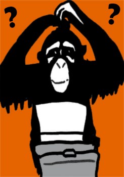 Schreibmaschinen-Affe