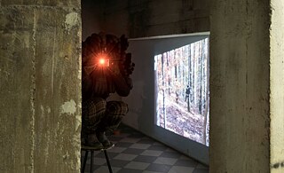 Capture Don‘t Catch