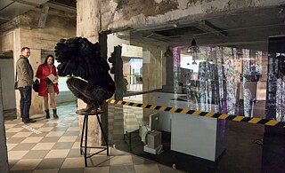 Capture Don‘t Catch