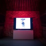 Die Vernichtung der Assemblagen