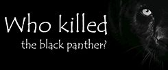 Who killed the black panther?