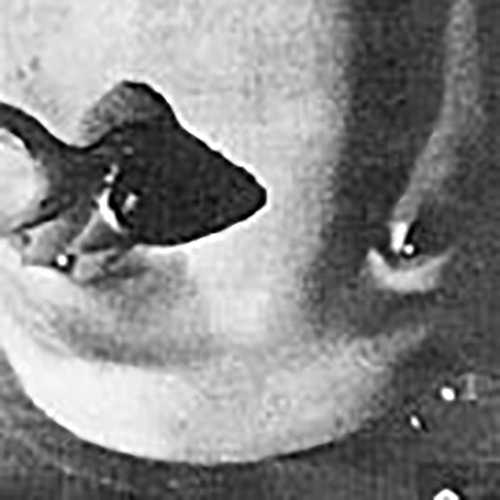 Veranstaltungskalender Redaktionell