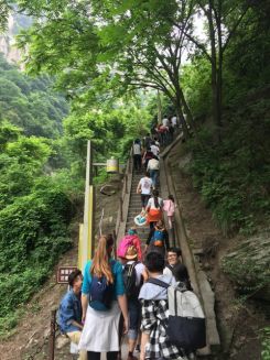 Jetzt geht’s bergauf!