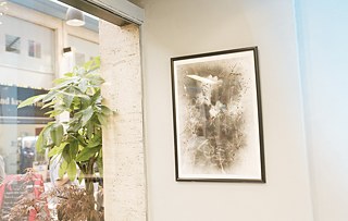 17. April Opening Day – Tourab … the Dust