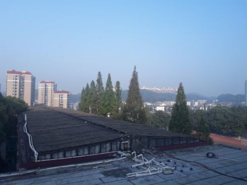 Der Blick aus meinem Fenster