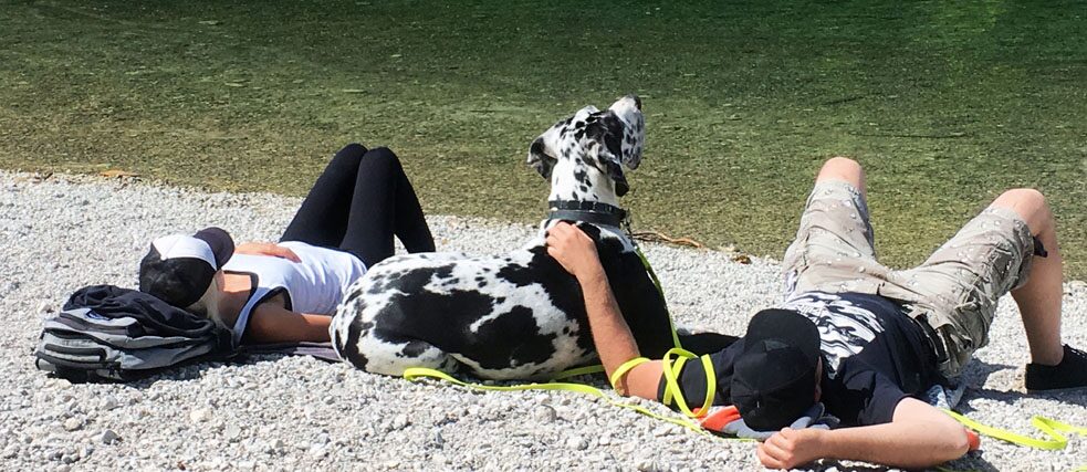 Two hikers and their dog lie in the sun and rest.