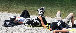 Two hikers and their dog lie in the sun and rest.
