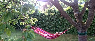 一位年輕女子躺在花園裡的吊床上。