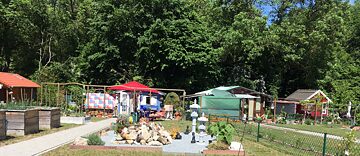 An allotment garden with various plots.