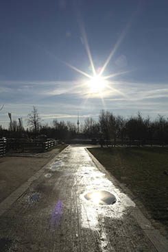 The winter sun over Mauer Park. 