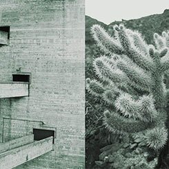 Tropical Modernism: Lina Bo Bardi. SESC Pompéia, Cylindroputina Fulgida, 2016.