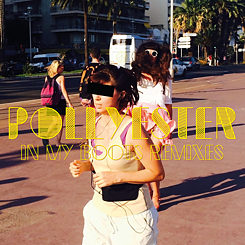 Pollyester-Boots-Cover