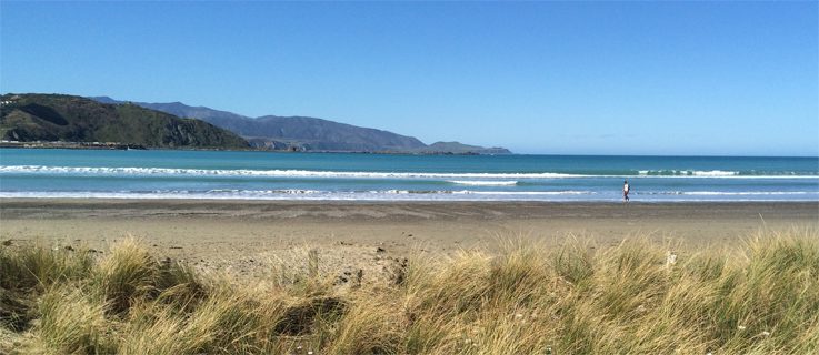 Lyall Bay on a sunny day