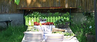 綠色自助餐：自採的香草沙拉。