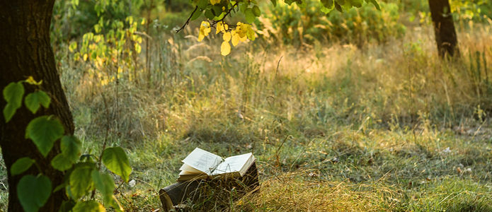 Dichtung und Freiheit: Junge Dichter für die Zukunft Europas