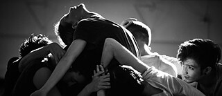 Springboard Danse Montréal