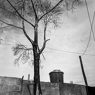 FIFV © © Gilles Favier / FIFV FIFV