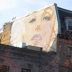 The Marilyn Monroe - John Bailey