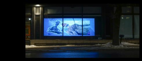 Iso-E-Super / Jonas Blume