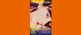 Buchcover: Die sanfte Gleichgültigkeit der Welt 