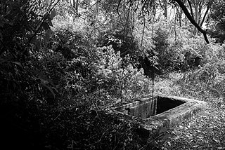 Photographer Shehan Obeysekera