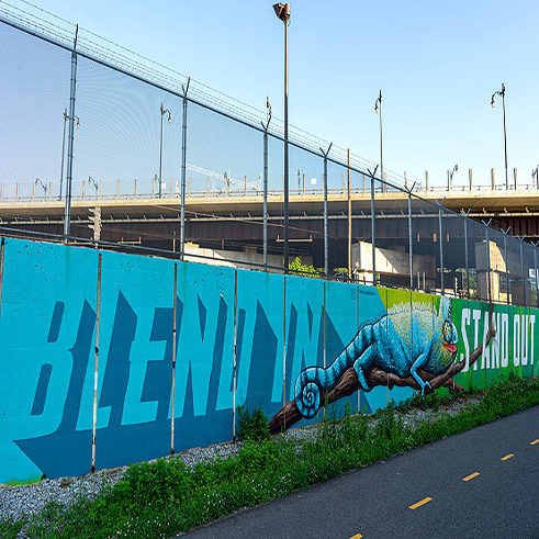 BrocoLoco -"Blend In - Stand Out"