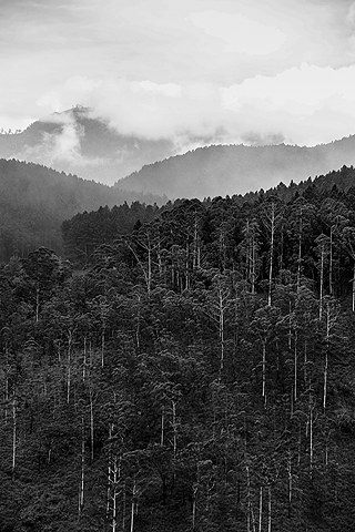 Photographer Tilaxan Tharmapalan