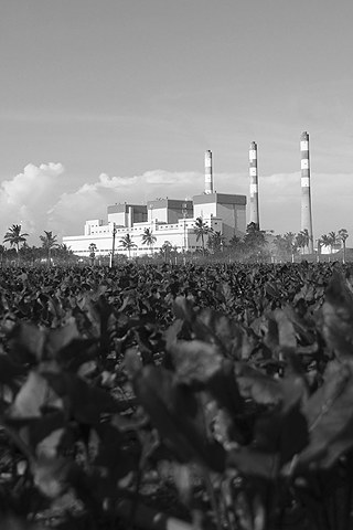 Photographer Tilaxan Tharmapalan